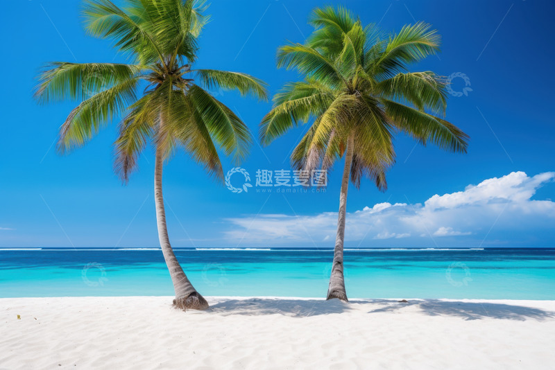 高清大图下载【趣麦麦图】沙滩上的两颗椰树