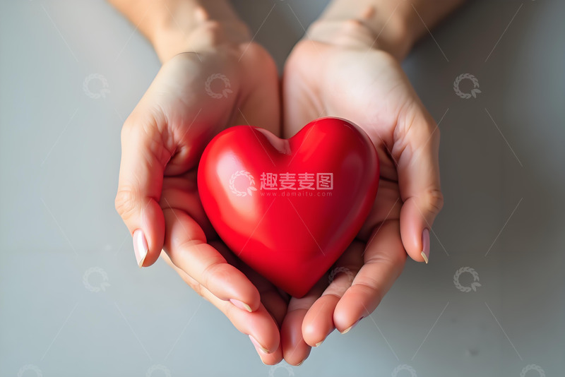 高清大图下载【趣麦麦图】情人节手捧爱心摄影图