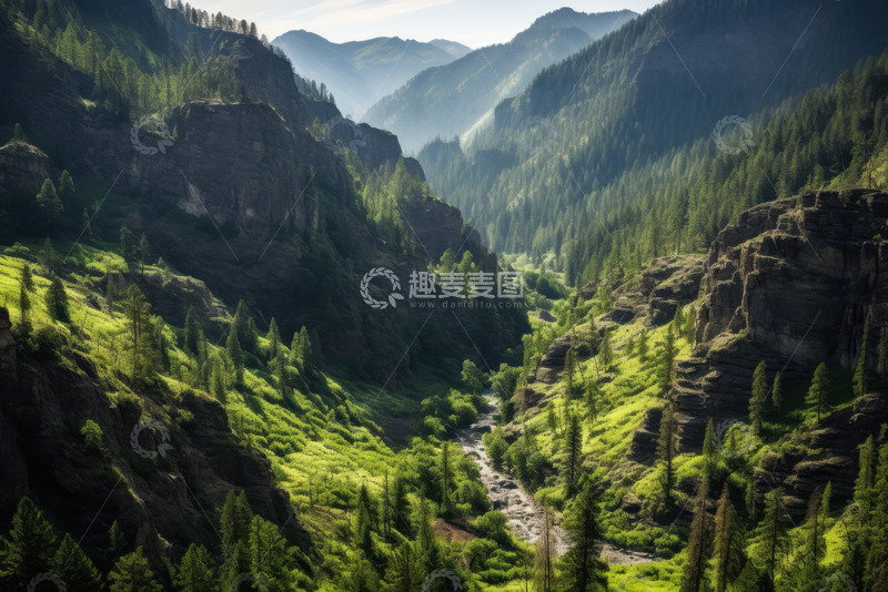 高清大图下载【趣麦麦图】松树林山谷美景
