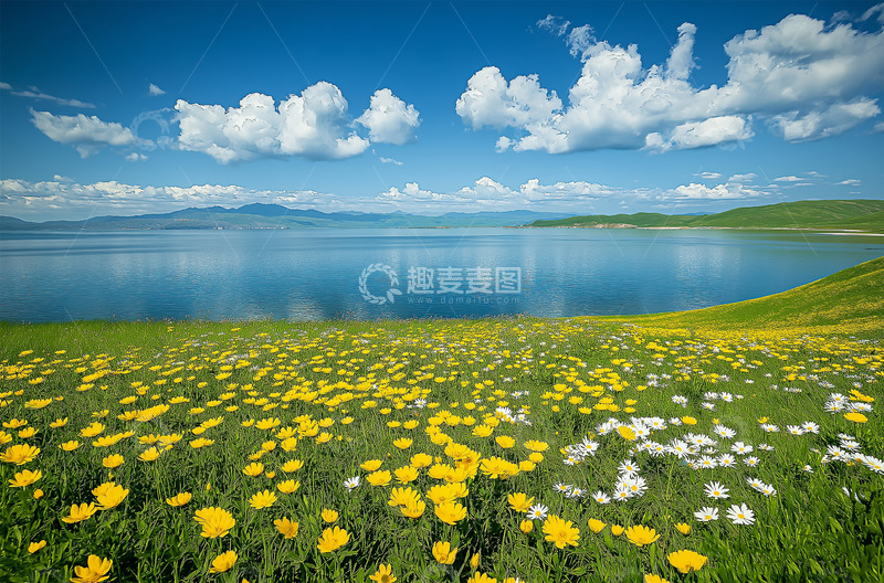高清大图下载【趣麦麦图】春天花草湖光风景摄影图