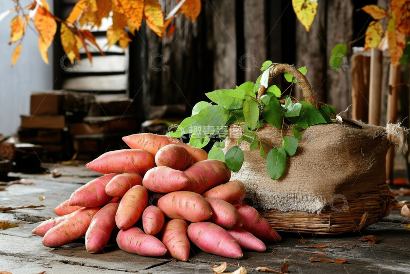 高清大图下载【趣麦麦图】一堆新鲜的红薯