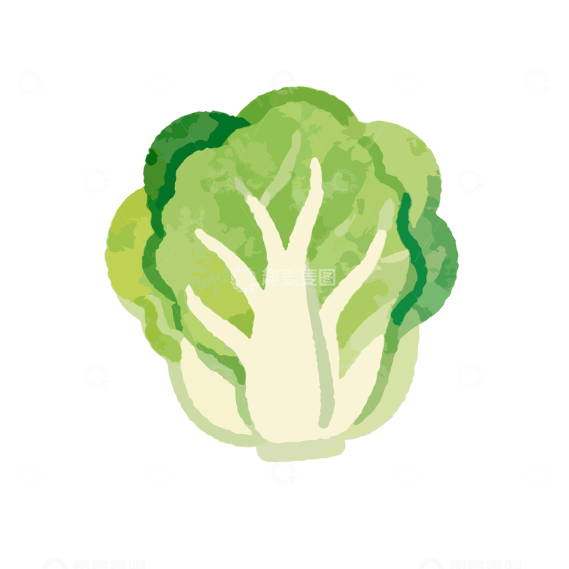 源文件下载【趣麦麦图】水彩风青菜矢量插画