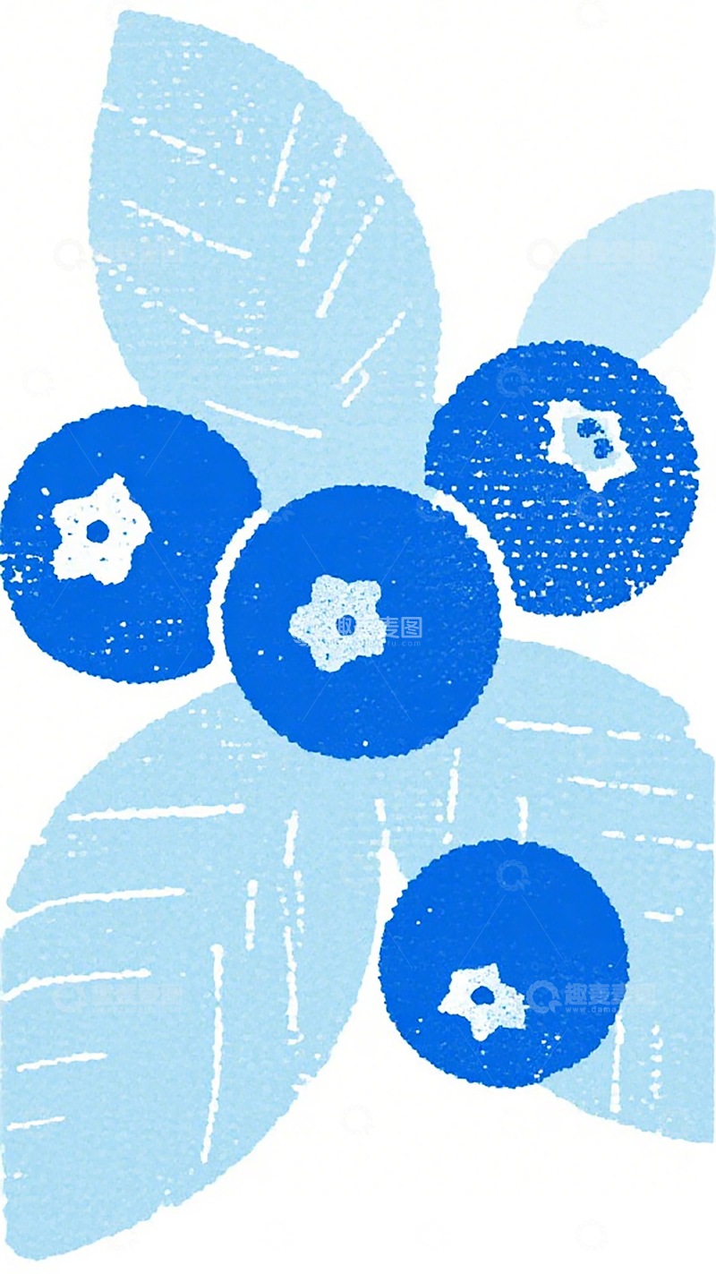 高清大图下载【趣麦麦图】水彩蓝莓叶插画设计素材