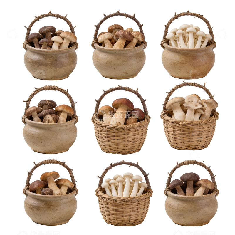 源文件下载【趣麦麦图】一筐新鲜菌菇1