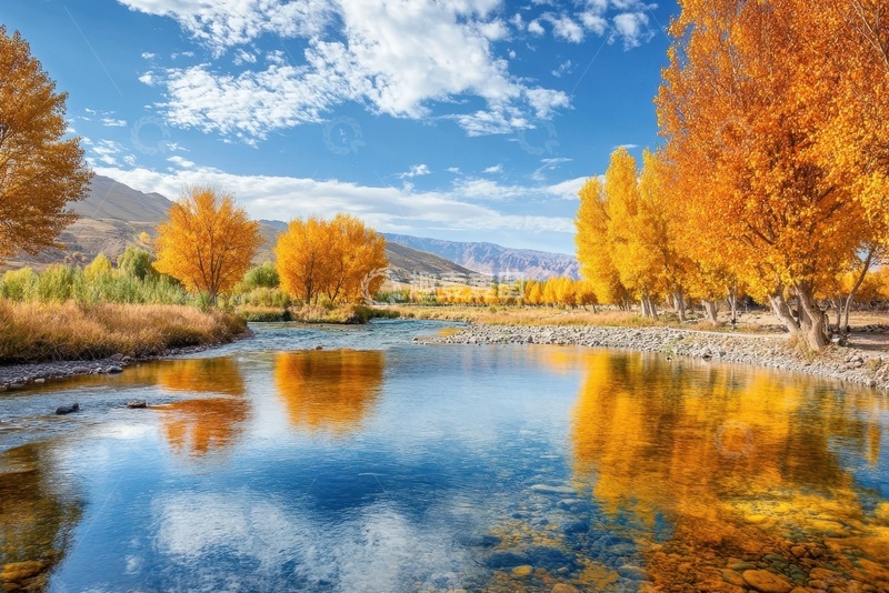 高清大图下载【趣麦麦图】秋季湖泊倒影金色树木