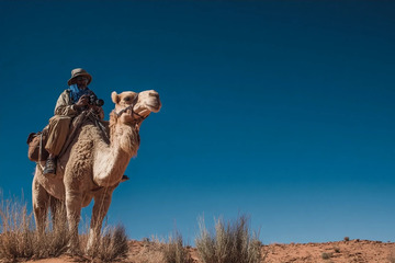 晴穹黄沙里的单驼孤影