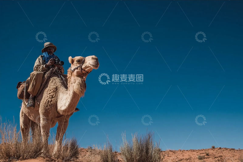 高清大图下载【趣麦麦图】晴穹黄沙里的单驼孤影