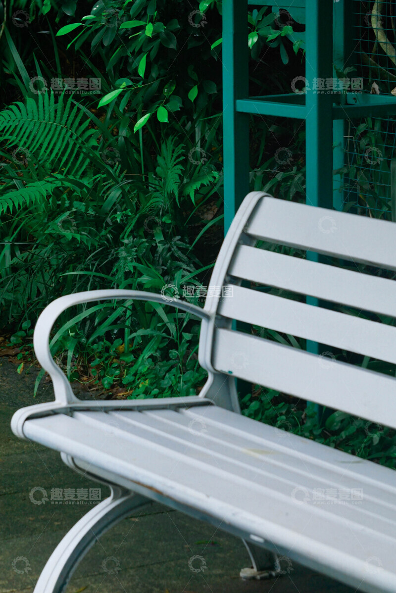 高清大图下载【趣麦麦图】公园绿意盎然休闲椅摄影图片