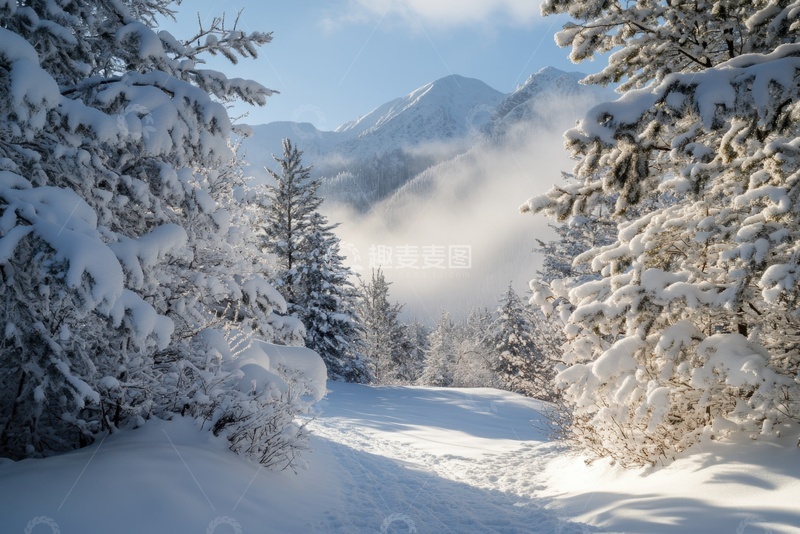 高清大图下载【趣麦麦图】冬季雪景雪地自然美景