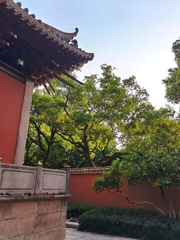 古典园林红墙绿树景色