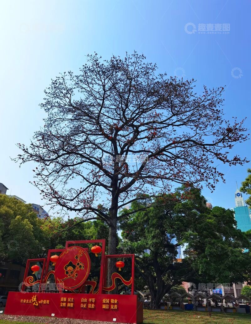 高清大图下载【趣麦麦图】喜庆树与红灯笼装饰