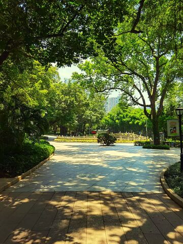 绿荫公园小径美景