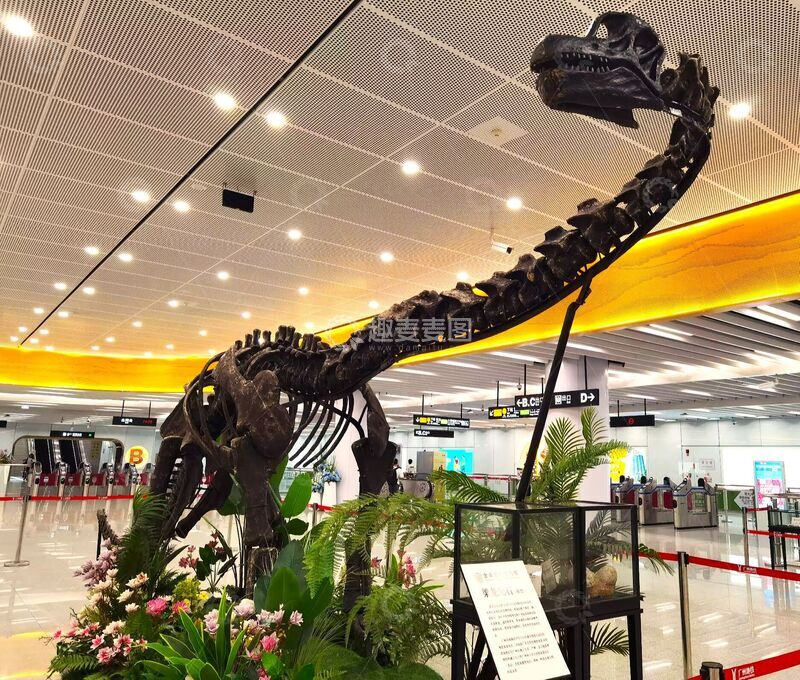 高清大图下载【趣麦麦图】恐龙骨架博物馆展览
