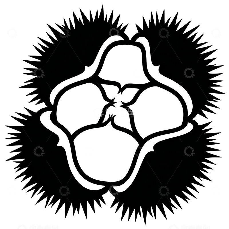 高清大图下载【趣麦麦图】板栗黑白简笔画海胆图案