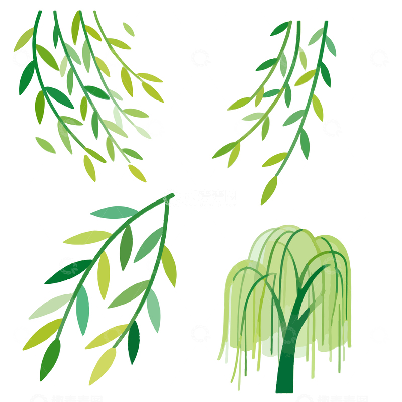 源文件下载【趣麦麦图】水彩风柳枝插画设计素材