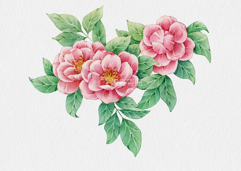 源文件下载【趣麦麦图】-水彩花卉粉色蔷薇装饰画