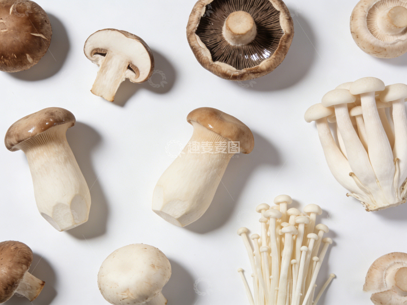 高清大图下载【趣麦麦图】多样蘑菇平铺摄影素材1
