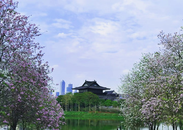 古典园林春色湖畔风光