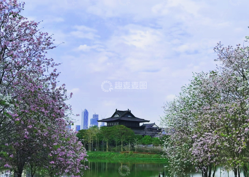 高清大图下载【趣麦麦图】古典园林春色湖畔风光