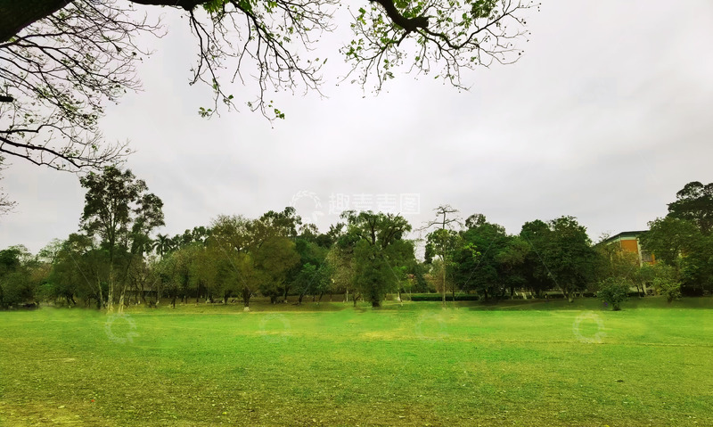 高清大图下载【趣麦麦图】公园绿草地风光摄影
