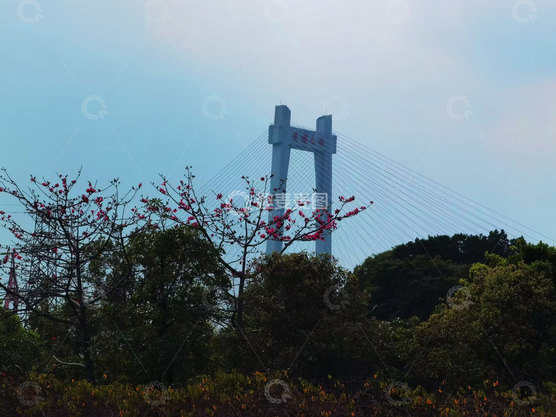 高清大图下载【趣麦麦图】现代桥梁春色风光