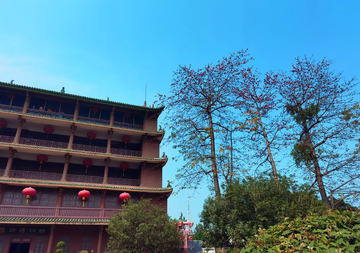 古典建筑木棉树风光