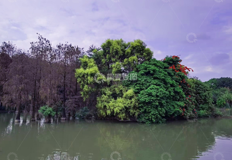 高清大图下载【趣麦麦图】湖畔绿意风光摄影图