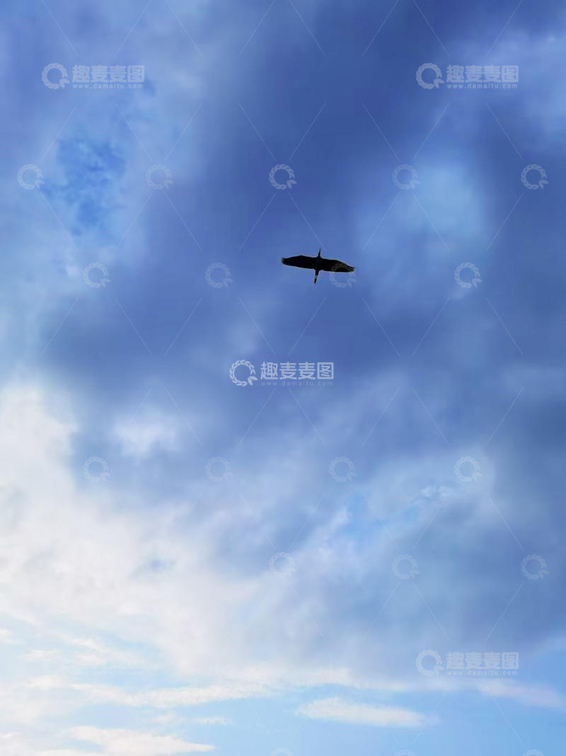 高清大图下载【趣麦麦图】蓝天飞机剪影云彩