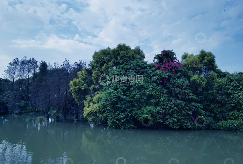 高清大图下载【趣麦麦图】静谧湖畔绿树成荫