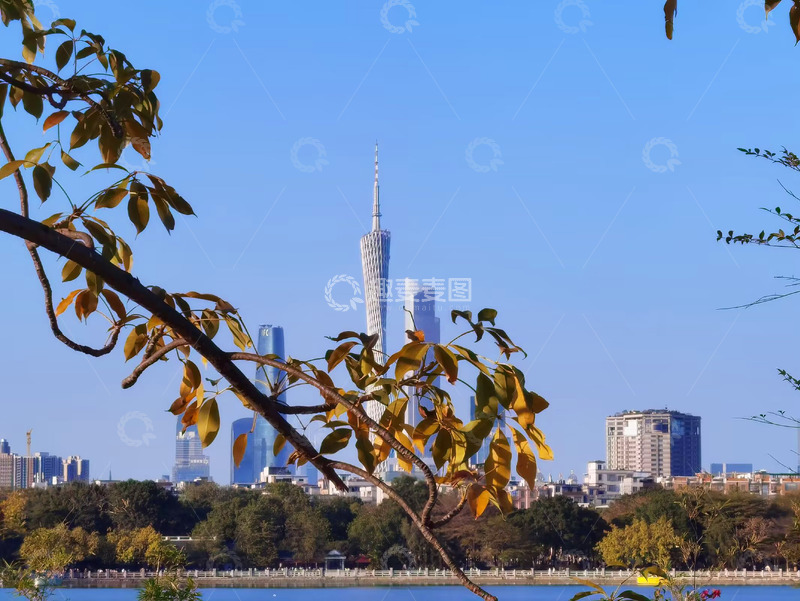 高清大图下载【趣麦麦图】城市秋景高楼塔楼自然风光