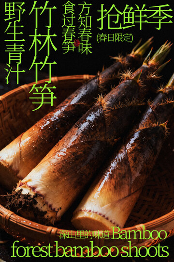 野生鲜嫩竹笋抢鲜季