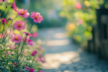 路边的小花丛花卉摄影