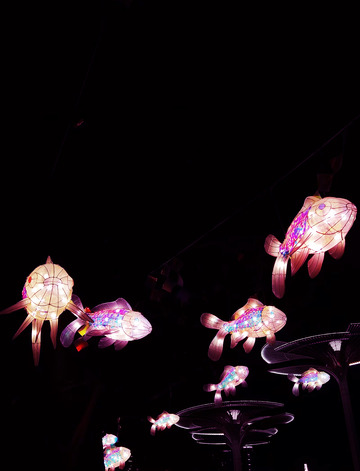 鱼形灯笼夜景艺术展示