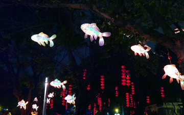 夜晚灯光装饰节日氛围