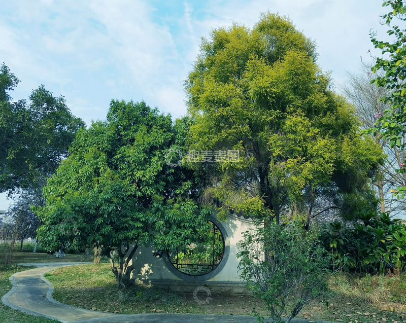 高清大图下载【趣麦麦图】园林景观绿树环绕小径
