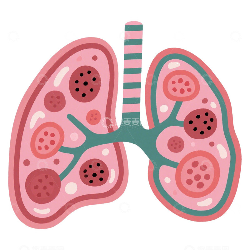 高清大图下载【趣麦麦图】肺部器官肺癌免抠元素