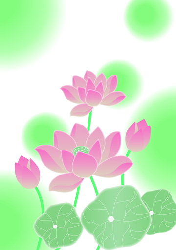 夏日荷花 荷叶 夏日海报素材