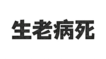 生活主题・肌理质感黑体艺术字5