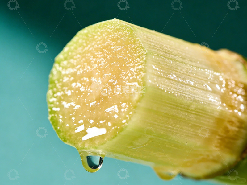 高清大图下载【趣麦麦图】清新植物特写微距摄影