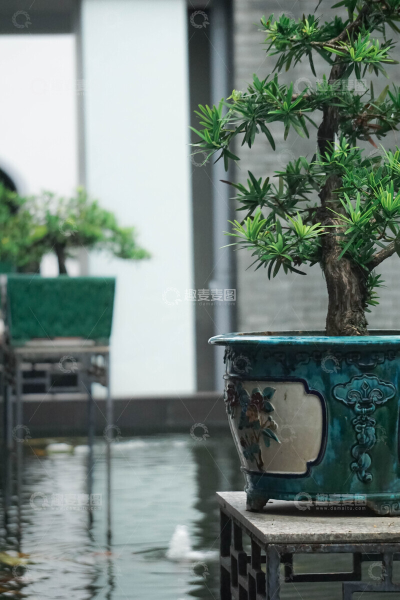 高清大图下载【趣麦麦图】古典园林盆栽景观