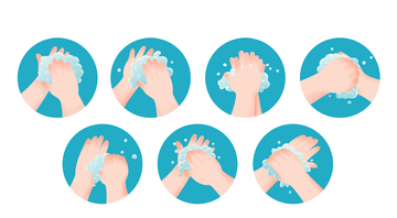 正确洗手步骤图示卡通插画