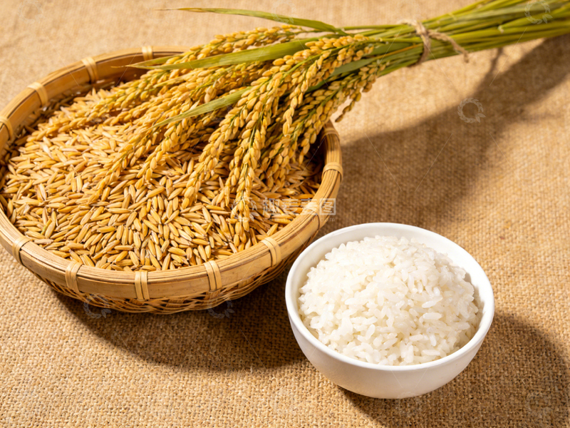 高清大图下载【趣麦麦图】稻谷与米饭生活写实摄影