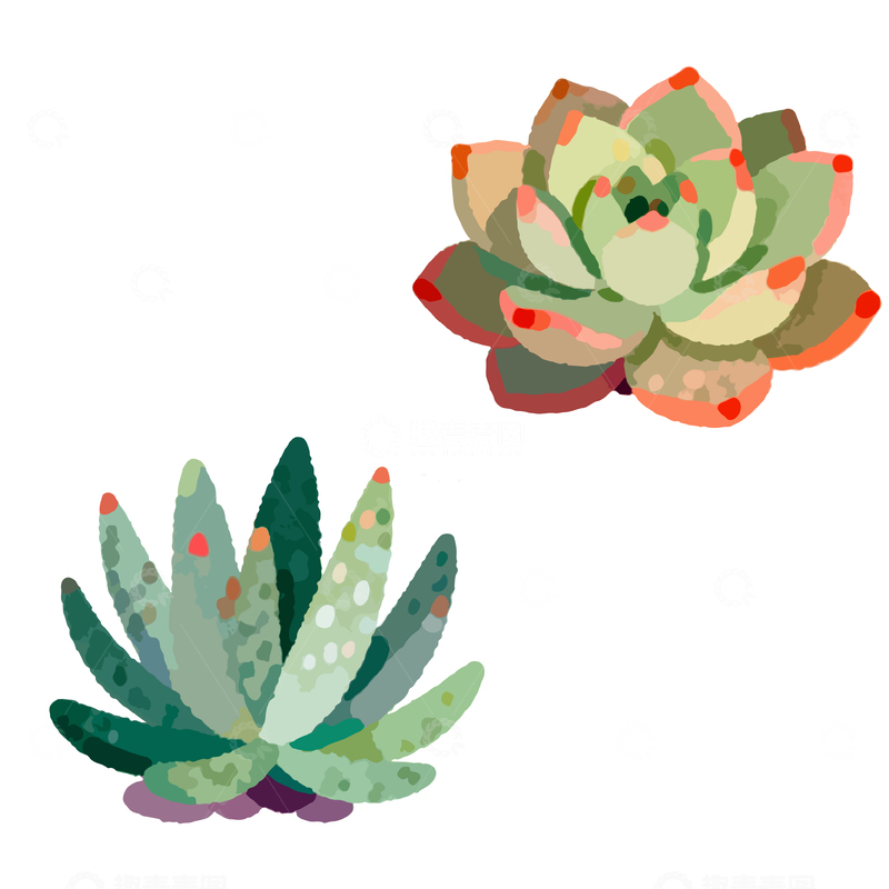 源文件下载【趣麦麦图】卡通多肉植物矢量插画