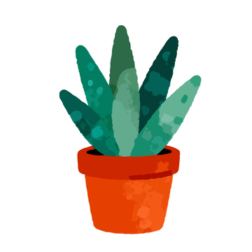 简约风盆栽植物插画