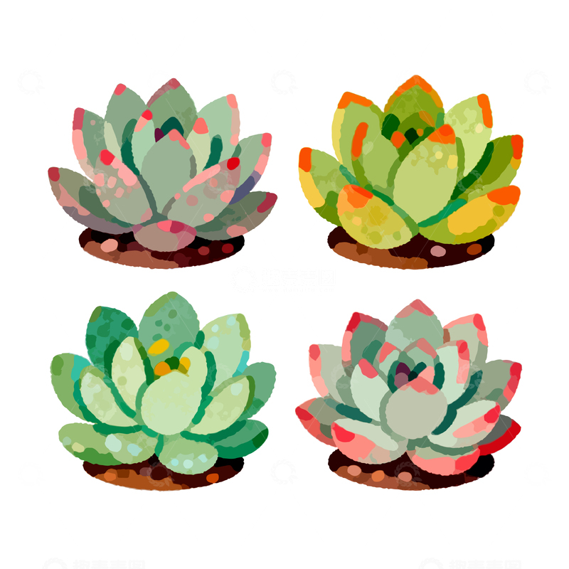源文件下载【趣麦麦图】多彩多肉植物插画设计素材