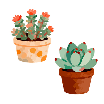 卡通多肉植物盆栽插画