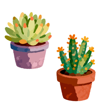 水彩风多肉盆栽插画素材