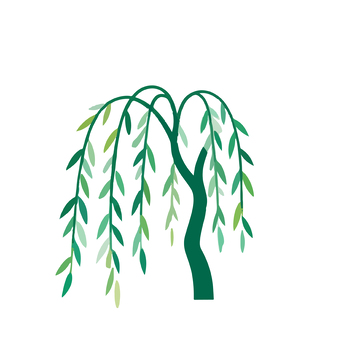 简约风柳树矢量插画素材