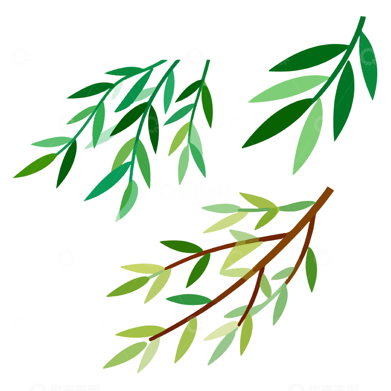 源文件下载【趣麦麦图】柳枝插画矢量图