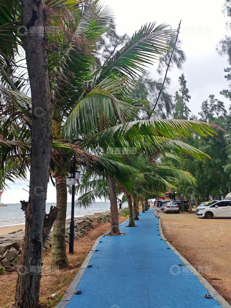 高清大图下载【趣麦麦图】海滨椰林步道风光